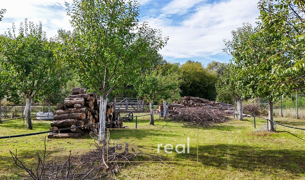 Prodej stavebního pozemku 1 764 m², Brod nad Dyjí – náhled fotky 7