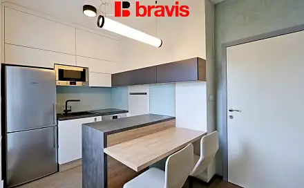 Pronájem bytu 1+kk 42 m², Lidická, Brno - Veveří