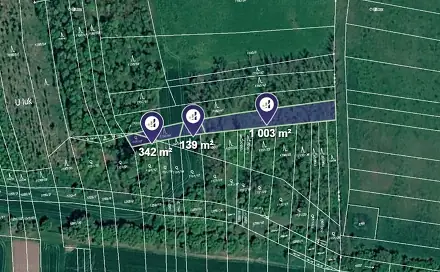 Prodej lesa 1 918 m², Morašice, okres Znojmo