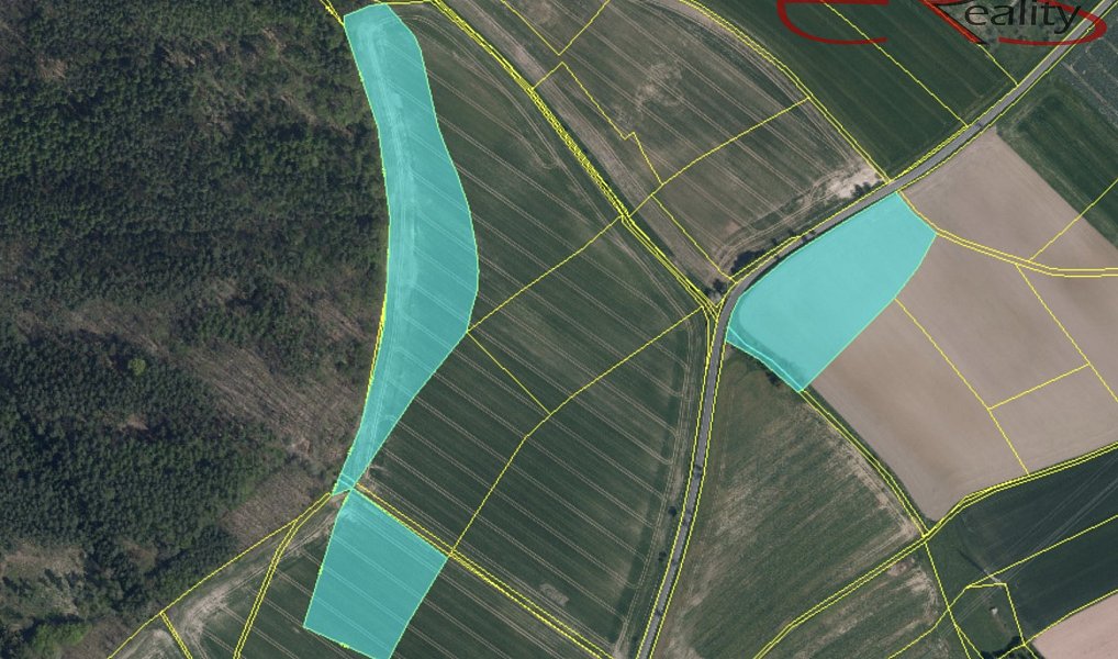Prodej pole 55 326 m², Ptýrov – náhled fotky 2