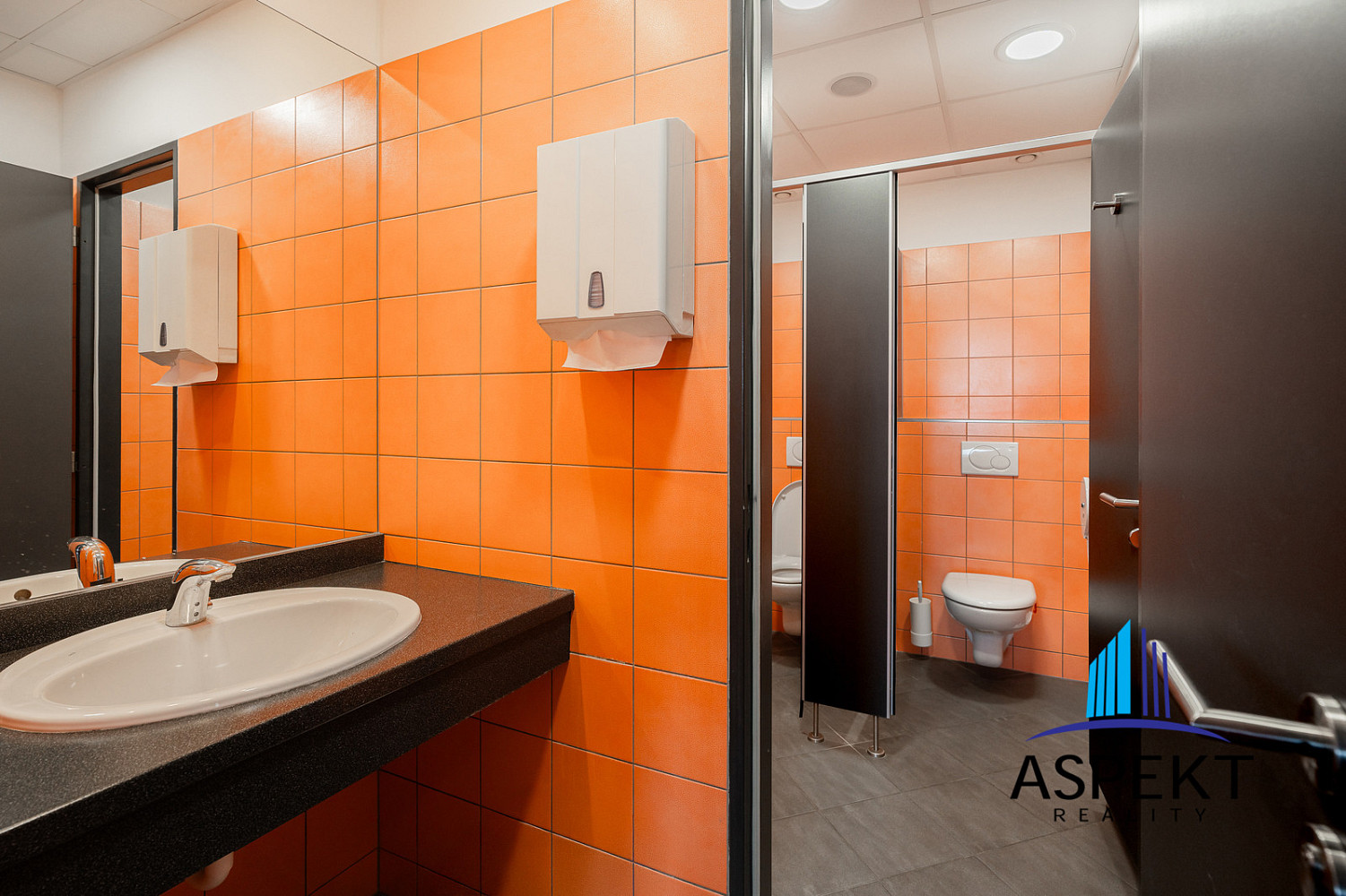 Fotka 4 z 14