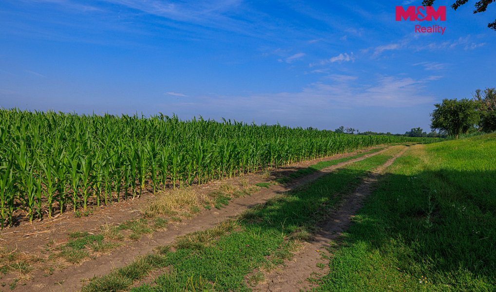 Prodej pole 9 227 m², Podivín – náhled fotky 2