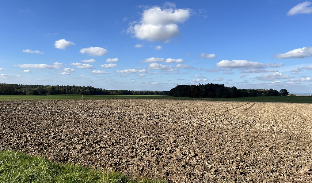 Prodej stavebního pozemku 1 434 m², Doubek – náhled fotky 8