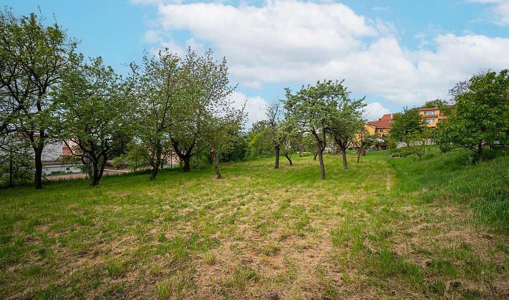 Prodej zahrady 1 052 m², Pozořice – náhled fotky 13