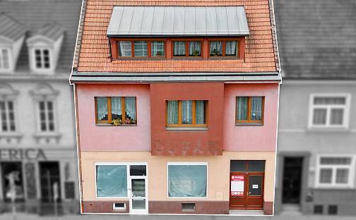 Prodej domu 690 m² s pozemkem 652 m², Gajdošova, Brno