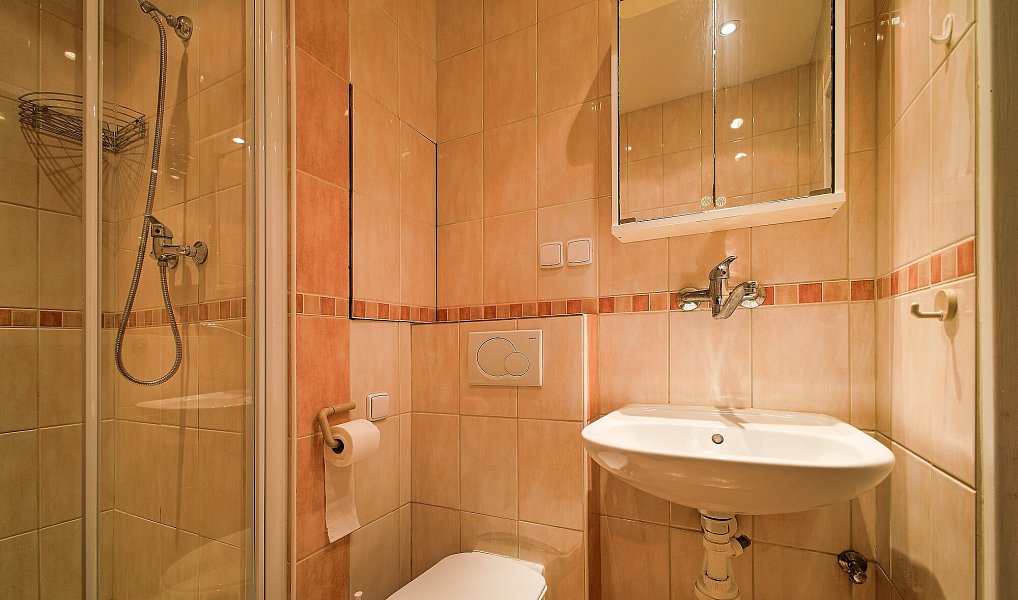 Pronájem bytu 1+kk 28 m², Uherské Hradiště – náhled fotky 5