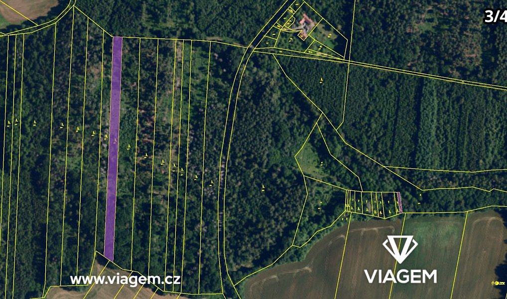 Prodej lesa 4 460 m², Lukovany – náhled fotky 12