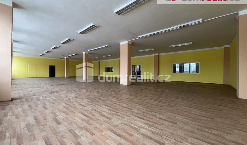 Pronájem obchodních prostor 55 m², České Budějovice – náhled fotky 12