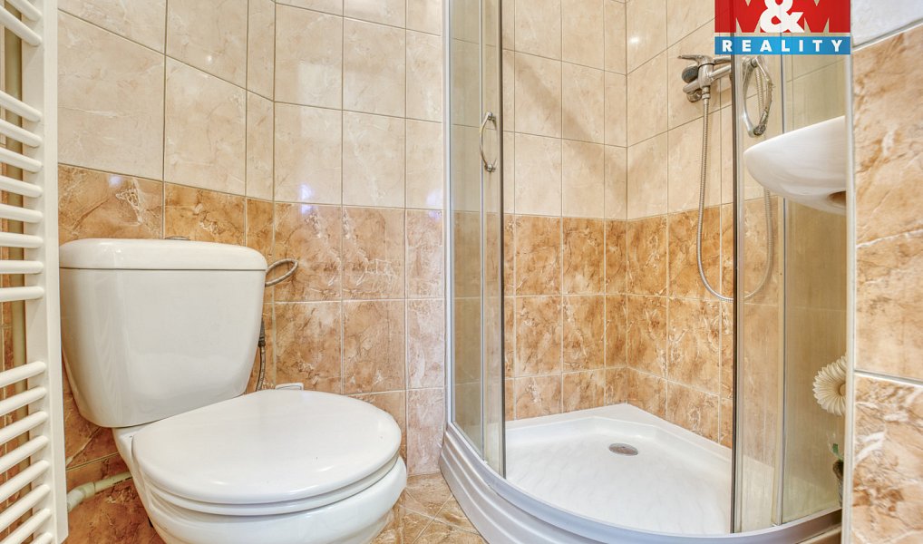 Pronájem komerčního pozemku 7 600 m², Zbůch – náhled fotky 9