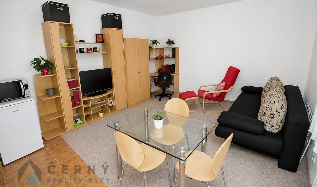 Pronájem bytu 1+kk 28 m², Liberec – náhled fotky 5