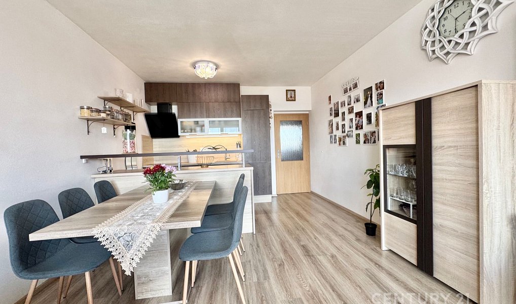 Prodej bytu 3+kk 68 m², Brno – náhled fotky 2