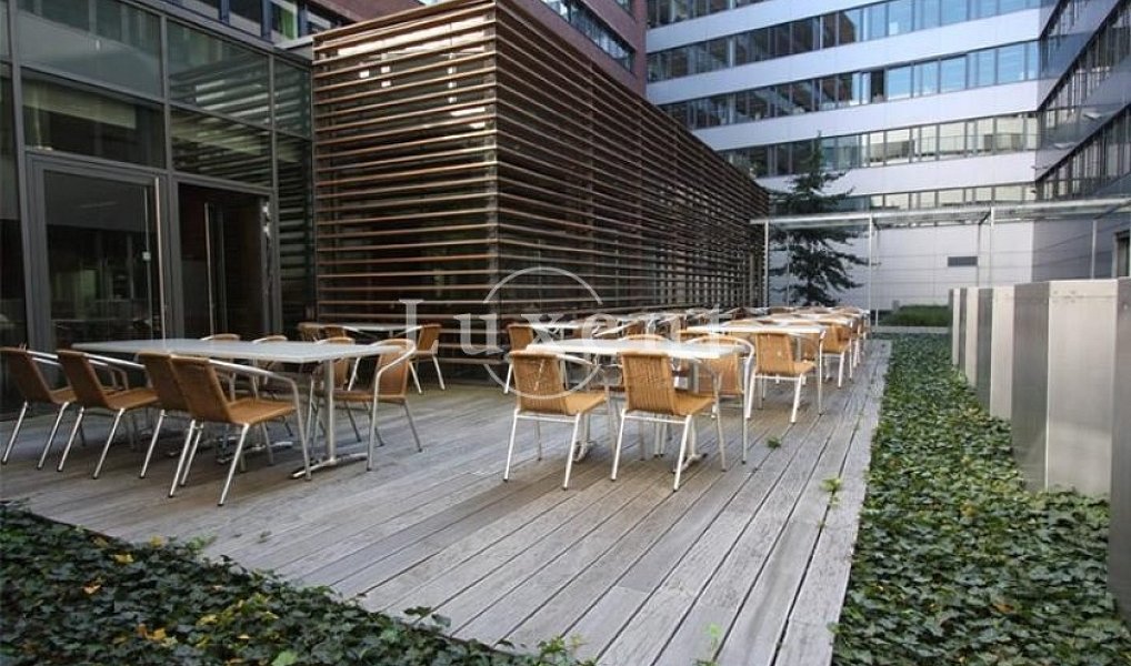 Pronájem kanceláře 290 m², Praha – náhled fotky 4