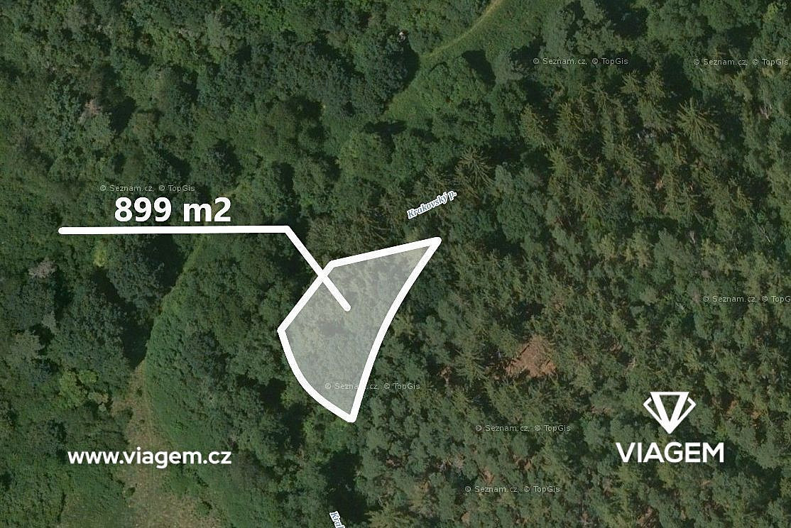 Prodej lesa 449 m²