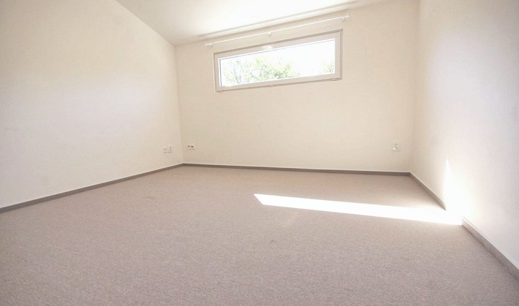 Pronájem domu 80 m² s pozemkem 60 m², Hostouň – náhled fotky 9