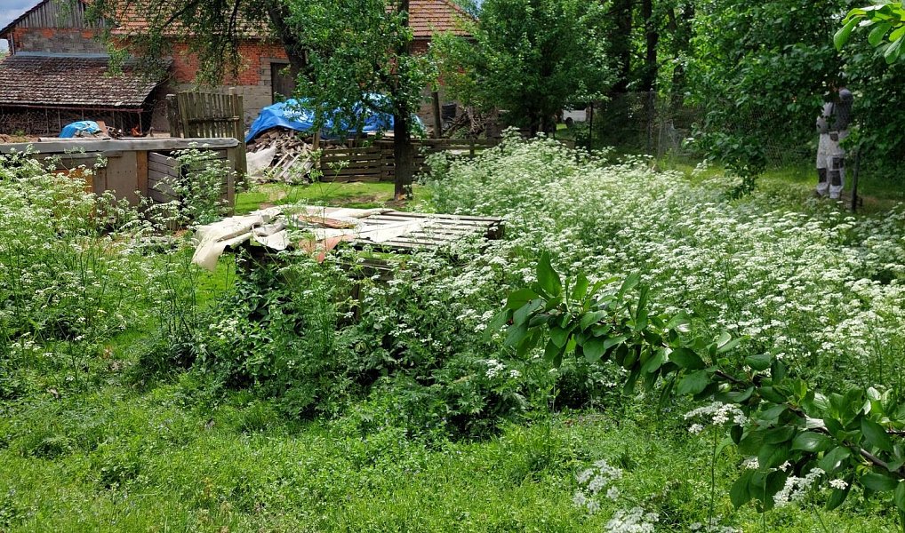 Prodej stavebního pozemku 550 m², Bělotín – náhled fotky 4