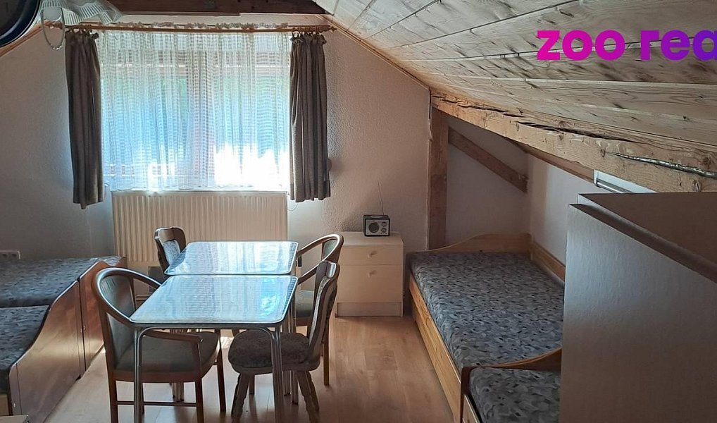 Prodej ubytovacího objektu 462 m², Strážný – náhled fotky 12