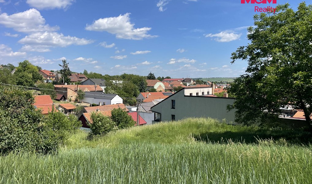 Prodej stavebního pozemku 7 245 m², Holubice – náhled fotky 7