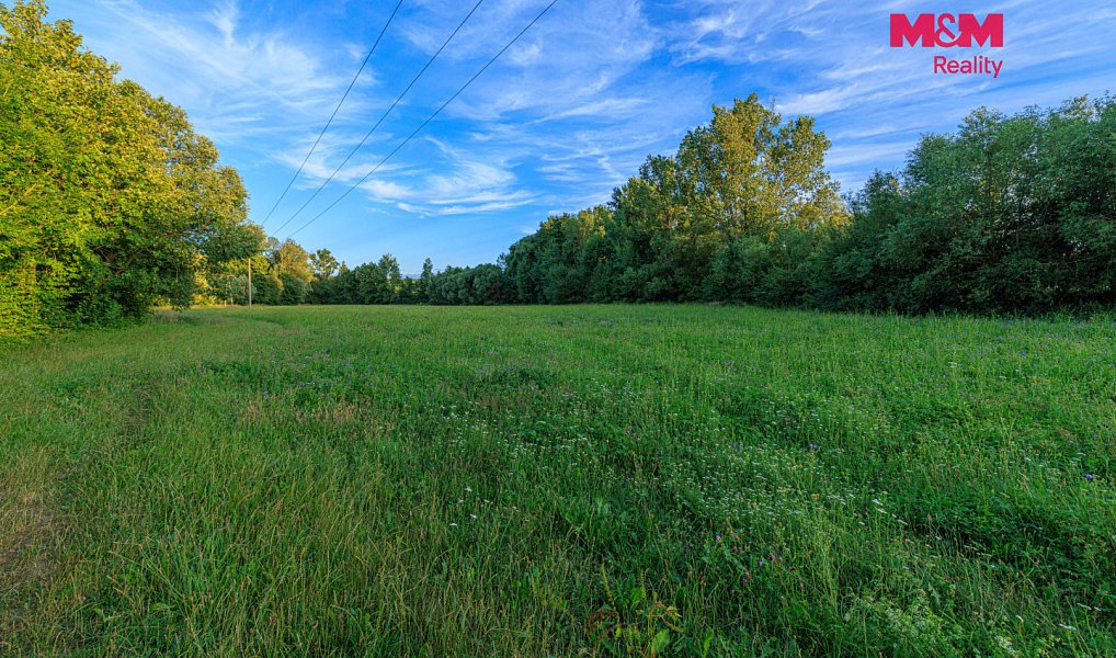 Prodej louky 4 590 m², Horní Bříza – náhled fotky 9