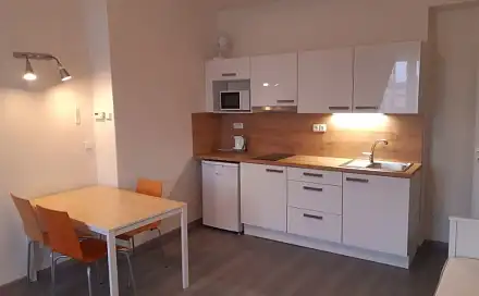 Pronájem bytu 1+kk 28 m²