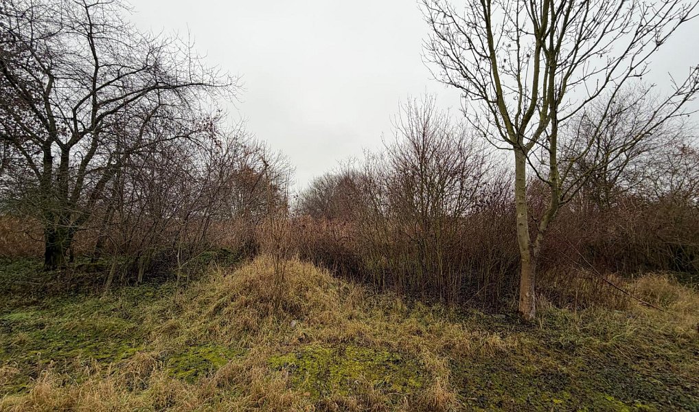 Prodej komerčního pozemku 15 490 m², Zabrušany – náhled fotky 8