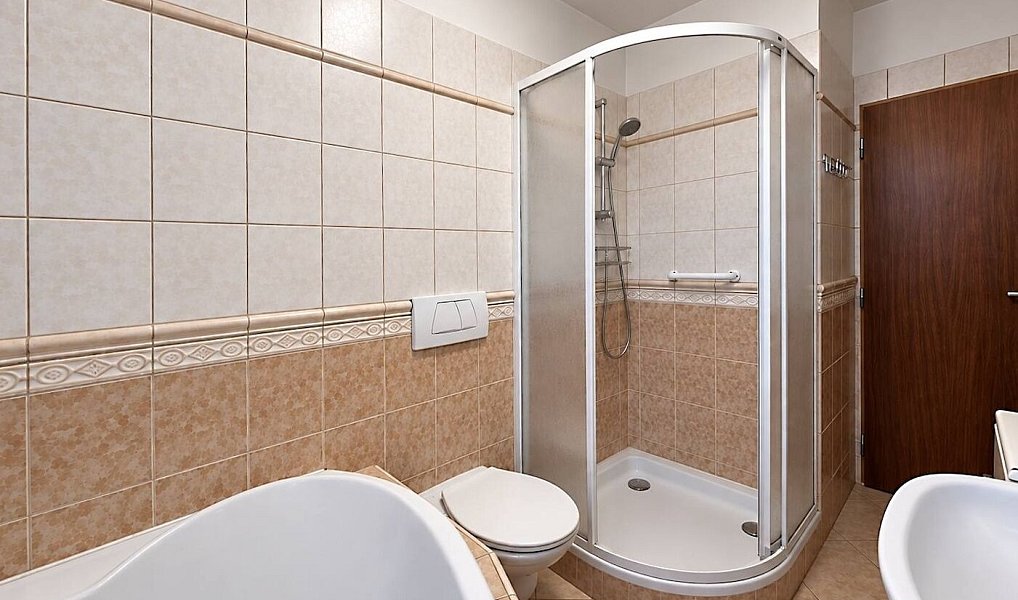 Prodej chaty/chalupy 253 m² s pozemkem 1 038 m², Bujanov – náhled fotky 6