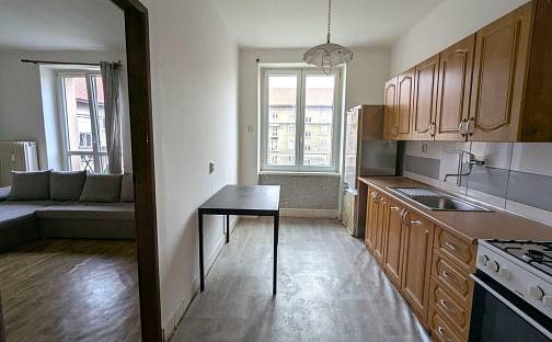 Pronájem bytu 1+1 38 m², tř. Budovatelů, Most