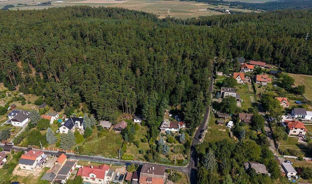 Prodej chaty/chalupy 98 m² s pozemkem 1 495 m², Bojanovice – náhled fotky 15