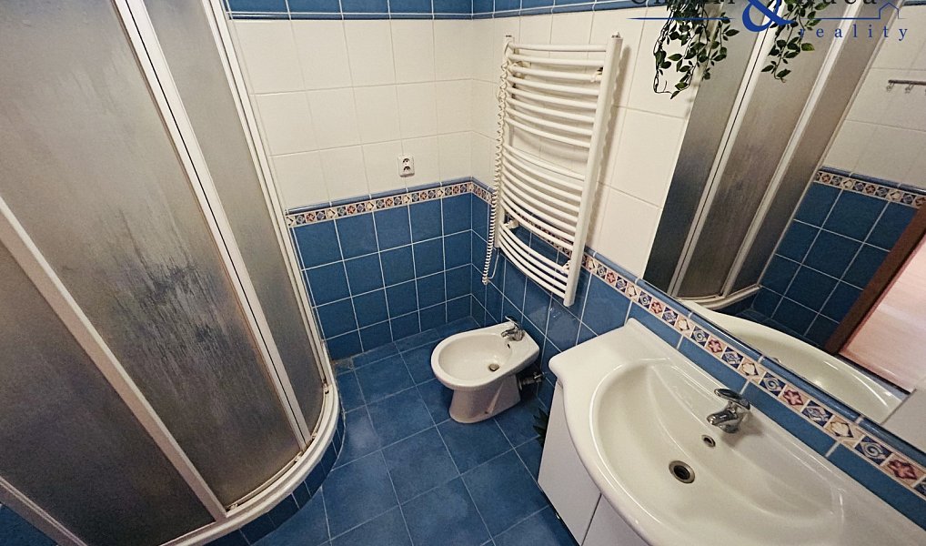 Prodej domu 347 m² s pozemkem 2 048 m², Radslavice – náhled fotky 23