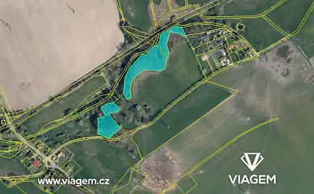 Prodej lesa 6 558 m², Česká Lípa