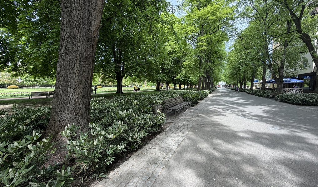 Prodej bytu 1+kk 36 m², Poděbrady – náhled fotky 10