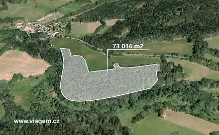 Prodej lesa 7 020 m², Čmelíny, okres Plzeň-Jih