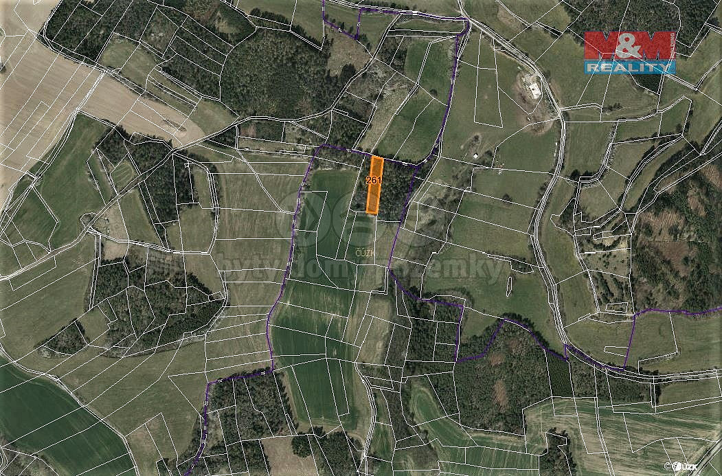 Prodej lesa 3 744 m²