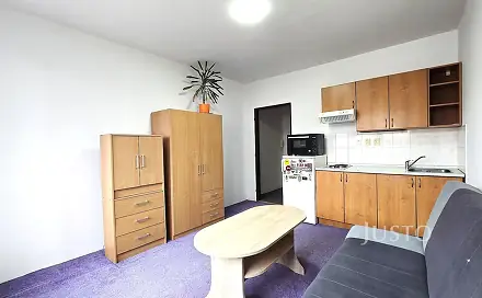 Pronájem bytu 1+kk 20 m², Dr. M. Horákové, Písek - Budějovické Předměstí
