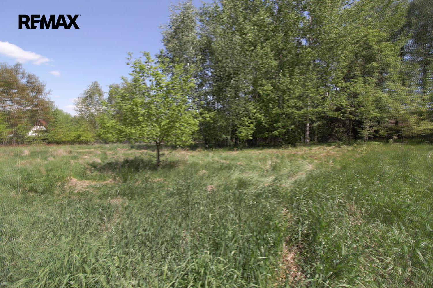 Prodej chaty/chalupy 200 m² s pozemkem 3 346 m² – fotografie 4
