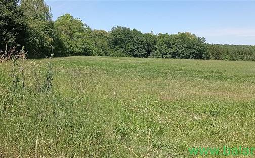 Prodej pole 9 513 m², Kobylnice, okres Brno-venkov