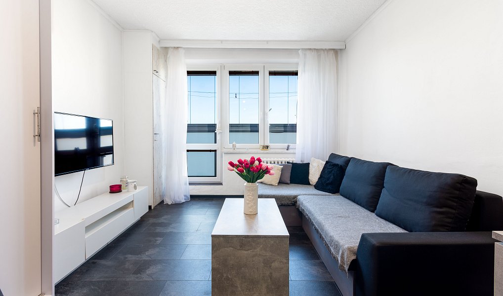 Prodej bytu 1+kk 31 m², Český Těšín – náhled fotky 4