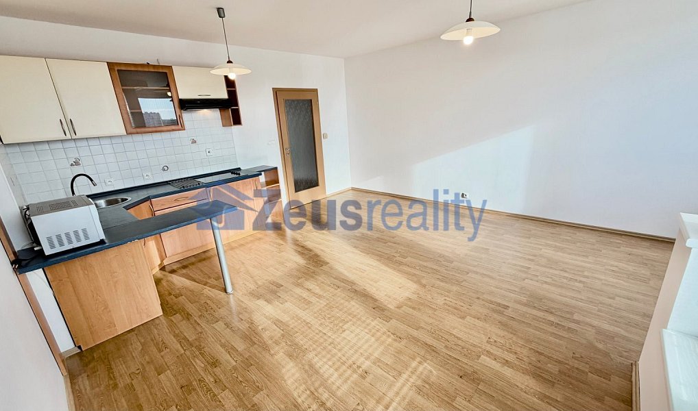 Pronájem bytu 1+kk 44 m², Praha – náhled fotky 3