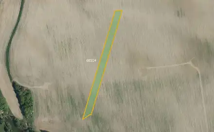 Prodej pole 1 986 m², Podhořany u Ronova, okres Chrudim