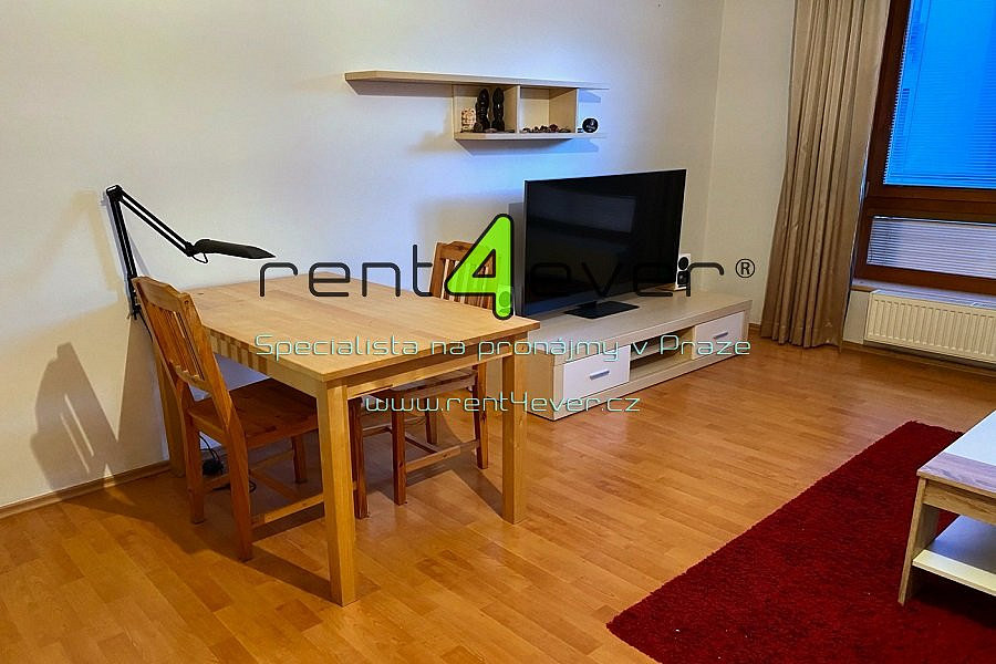 Pronájem bytu 1+kk 33 m² — photo 3