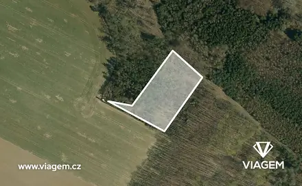 Prodej lesa 980 m², Mělnické Vtelno, okres Mělník