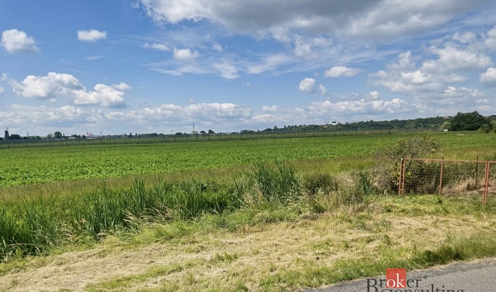 Prodej stavebního pozemku 4 536 m², Staňkovice – náhled fotky 2