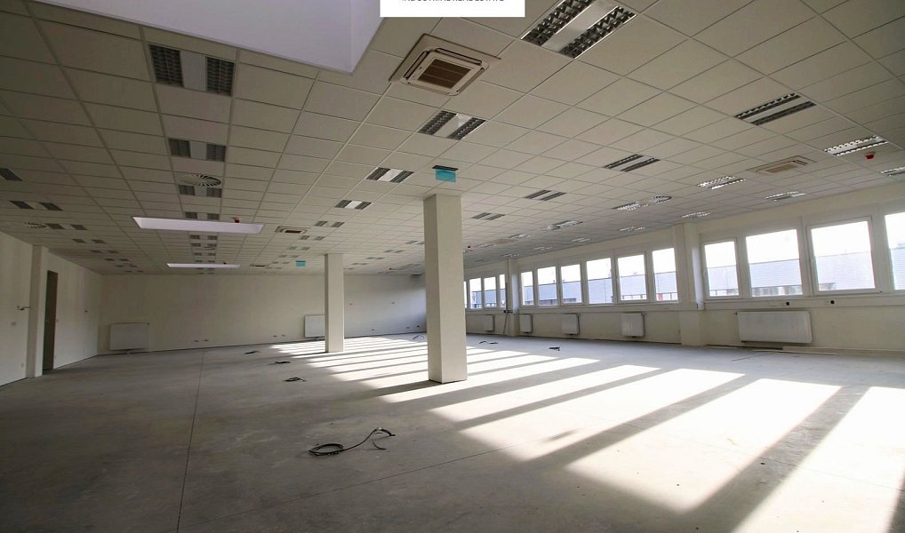 Pronájem skladovacích prostor 5 000 m², Přimda – náhled fotky 7