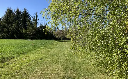 Prodej stavebního pozemku 1 153 m², Rybníček, okres Havlíčkův Brod