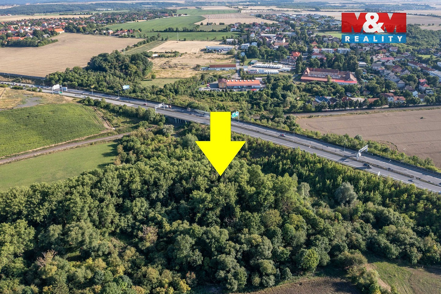 Prodej lesa 8 994 m² — photo 5