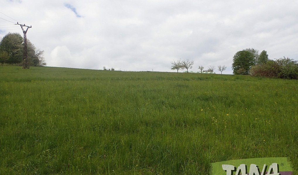 Prodej stavebního pozemku 1 551 m², Semily – náhled fotky 8