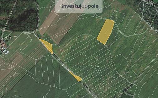 Prodej pole 12 273 m², Skořice, okres Rokycany