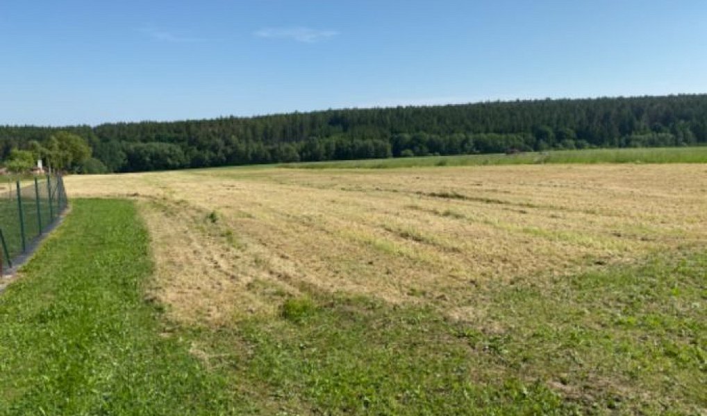 Prodej stavebního pozemku 8 669 m², Zbizuby – náhled fotky 10