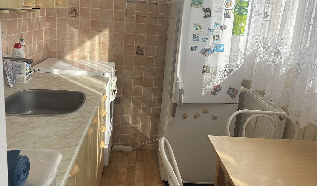 Prodej bytu 2+1 49 m², Mladá Boleslav – náhled fotky 8
