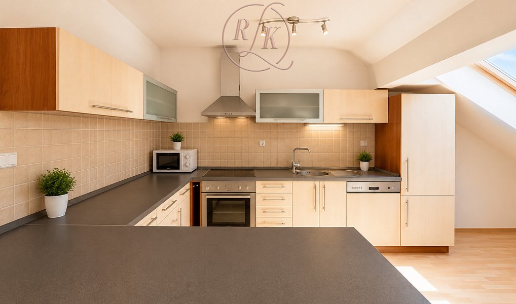 Prodej bytu 5+kk 178 m², Brno – náhled fotky 8