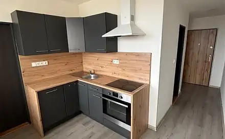 Pronájem bytu 3+1 69 m², Brněnská, Most